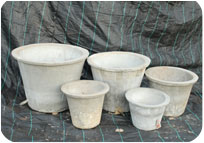 Arun Farms & Nursery