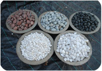 Arun Farms & Nursery