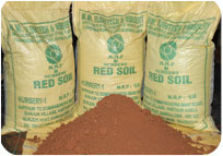 Arun Farms & Nursery