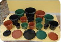 Arun Farms & Nursery