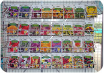 Arun Farms & Nursery