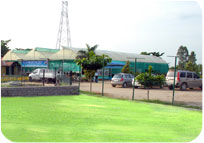 Arun Farms & Nursery