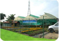 Arun Farms & Nursery