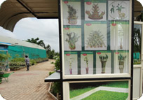 Arun Farms & Nursery