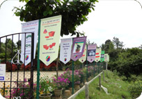 Arun Farms & Nursery