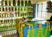 Arun Farms & Nursery