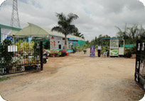 Arun Farms & Nursery