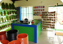 Arun Farms & Nursery