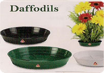 Pots