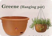 Pots