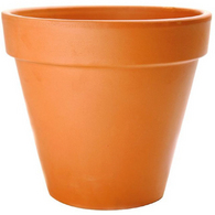 Plastic Pot